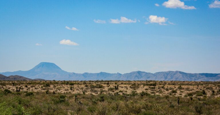 Need to Sell Mineral Rights but the Tax Consequences Are Killing the Deal?